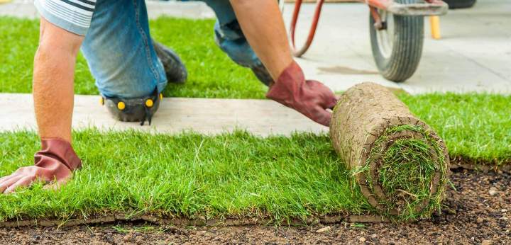 Pose de gazon Montréal